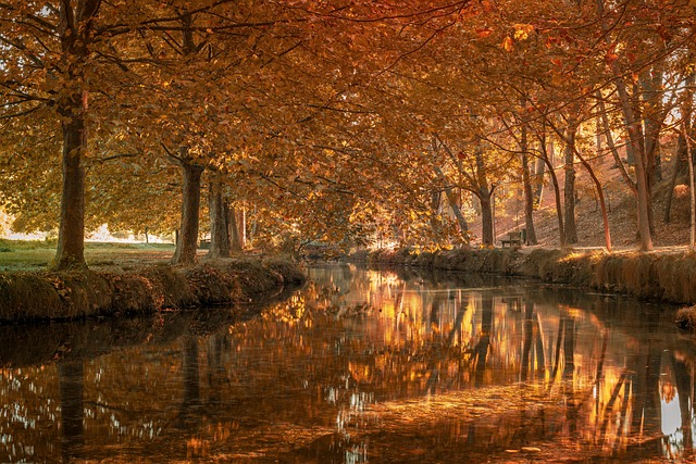 tablero de analitica con eventos y embudo de conversion